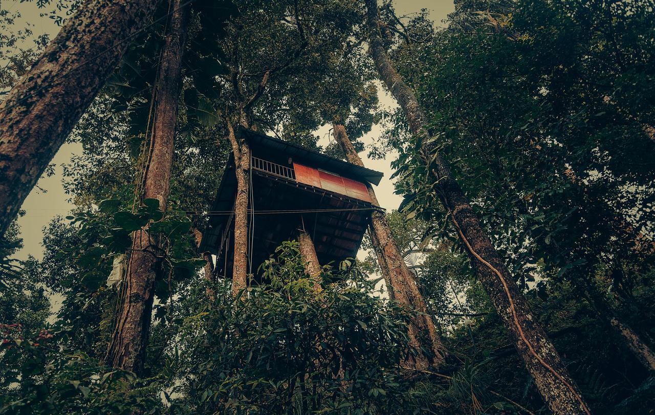 埃拉艾克兰德自然度假村 蒙纳 外观 照片
